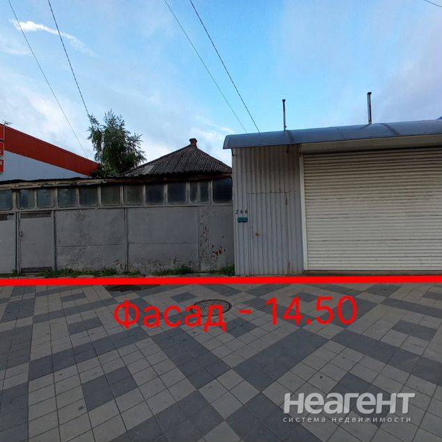 Фотография №2