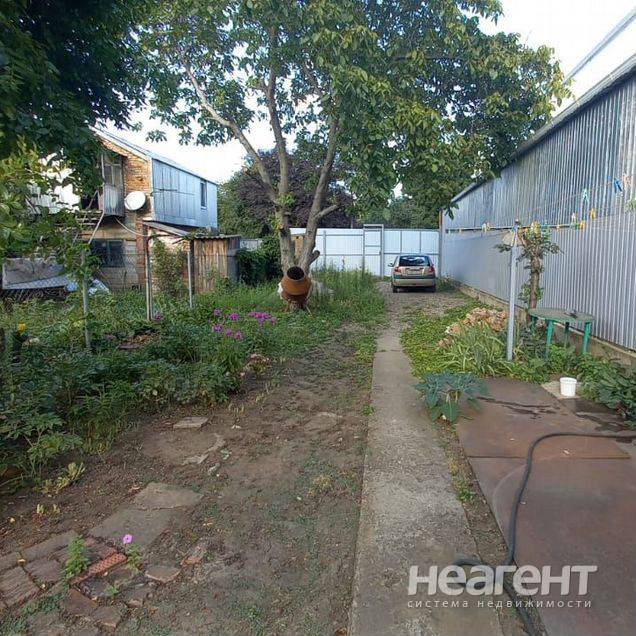 Фотография №3