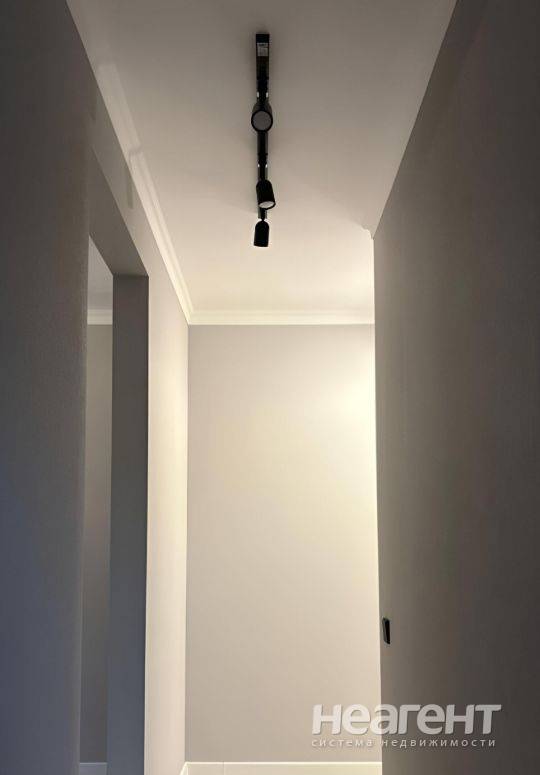 Фотография №3