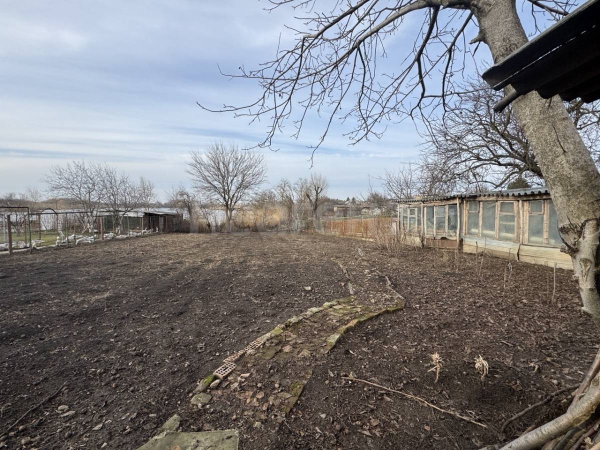 Фотография №9