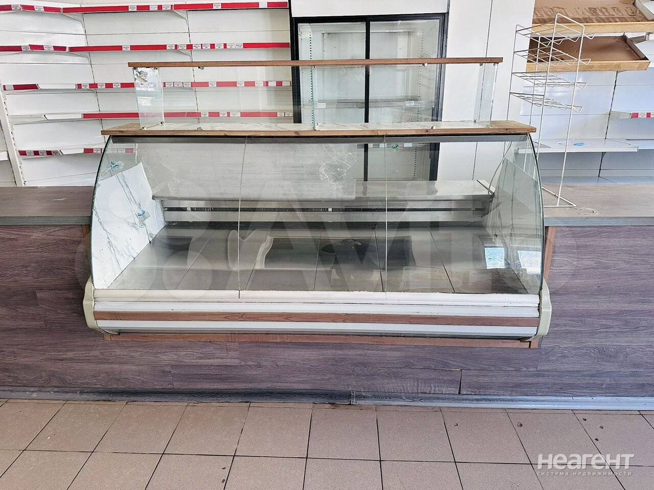 Фотография №2