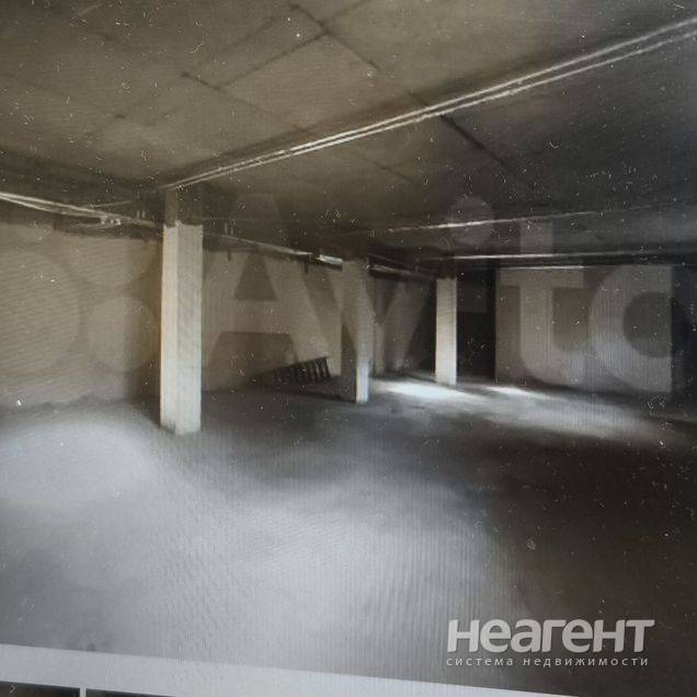 Фотография №2