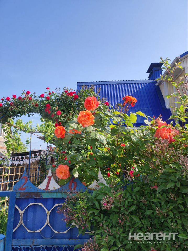 Фотография №2