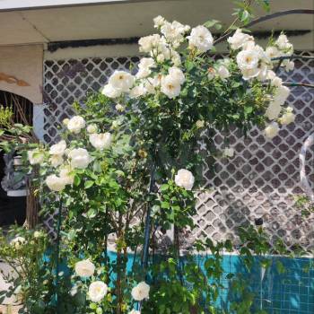 Продается Дом, 140 м²