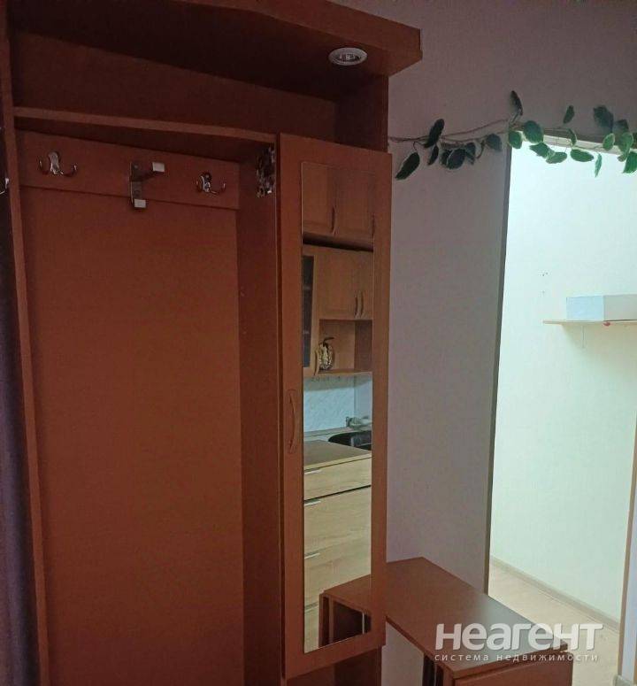 Фотография №2