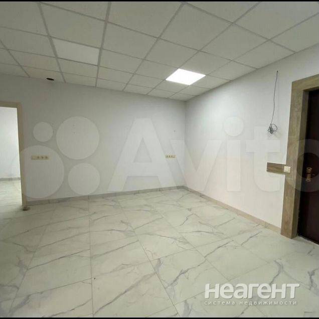 Фотография №2