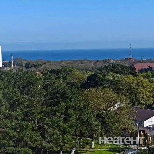 Фотография №2