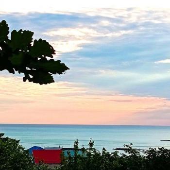 Сдается Дом, 36 м²