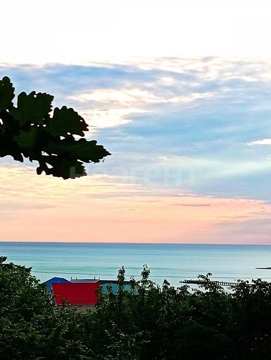 Фотография №2