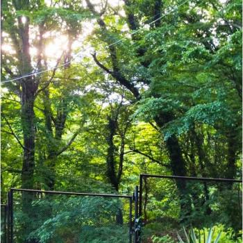 Сдается Дом, 36 м²