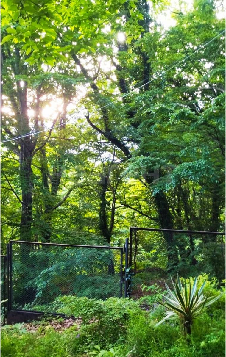 Фотография №5