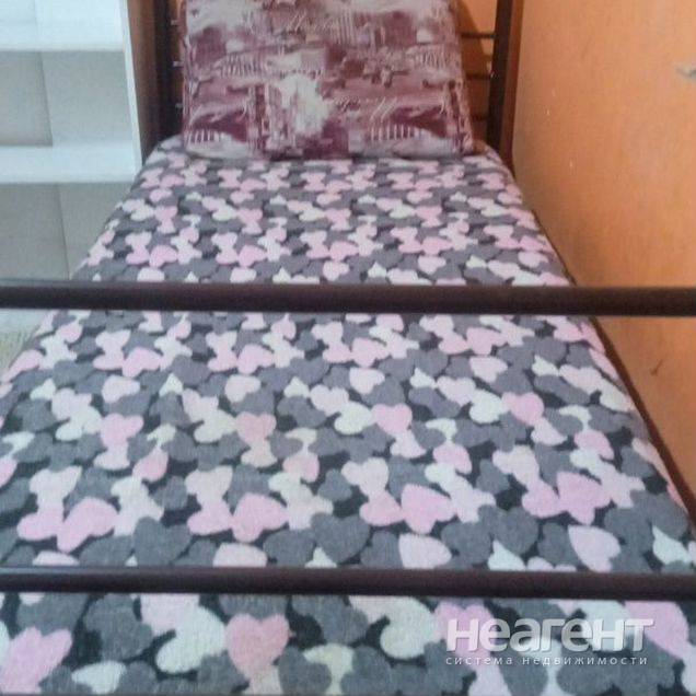 Фотография №2