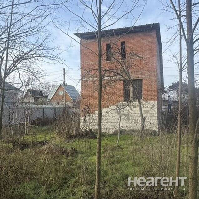 Фотография №3