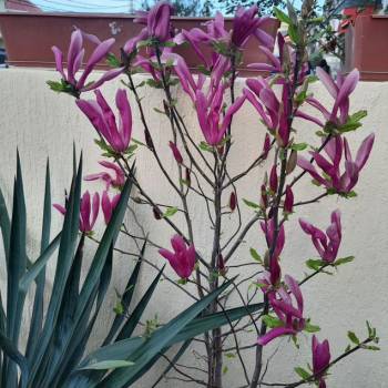 Продается 2-х комнатная квартира, 49 м²