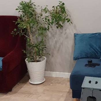 Продается 3-х комнатная квартира, 57,9 м²