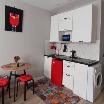 Сдается 1-комнатная квартира, 21,1 м²