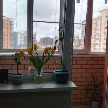 Продается 1-комнатная квартира, 24,6 м²