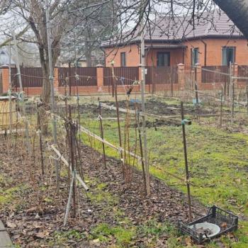 Продается Участок, 615 м²