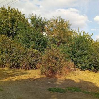 Продается Участок, 850 м²