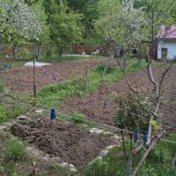 Продается Дом, 62 м²