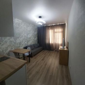 Сдается 1-комнатная квартира, 21,8 м²