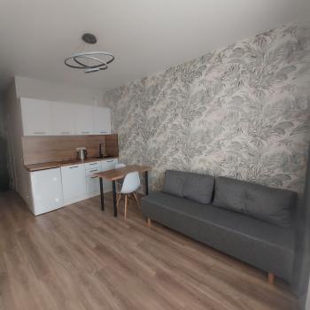 Сдается 1-комнатная квартира, 21,8 м²