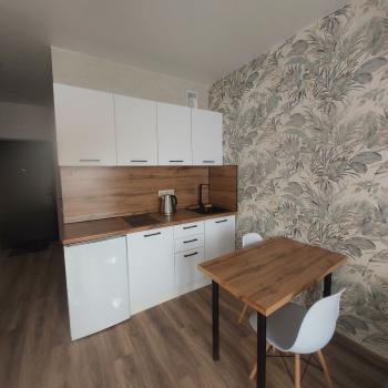 Сдается 1-комнатная квартира, 21,8 м²