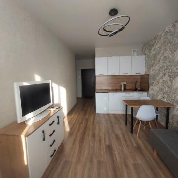 Сдается 1-комнатная квартира, 21,8 м²