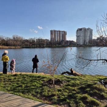 Сдается 2-х комнатная квартира, 47 м²