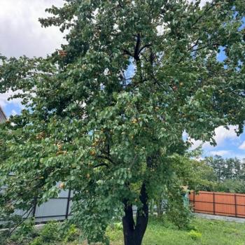 Продается Дом, 40 м²