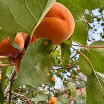 Продается Дом, 40 м²