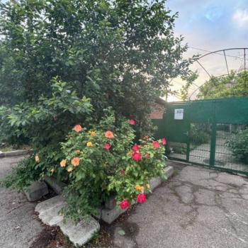 Продается Дом, 144 м²