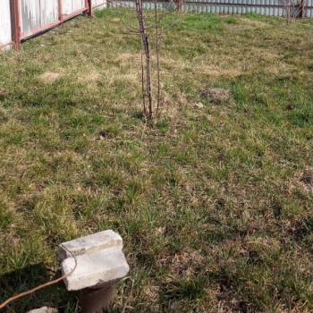 Продается Дом, 20 м²