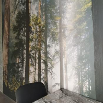 Продается 2-х комнатная квартира, 44,3 м²