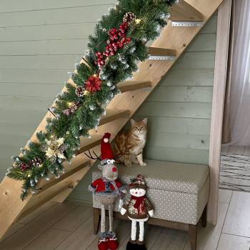 Сдается Дом, 50 м²