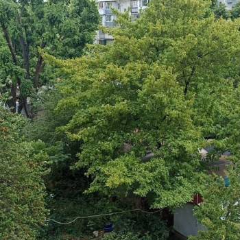 Продается Многокомнатная квартира, 61,6 м²