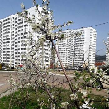 Продается 1-комнатная квартира, 38 м²