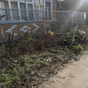 Сдается Дом, 45 м²