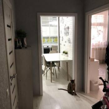 Сдается 2-х комнатная квартира, 44 м²