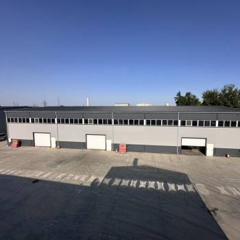 Сдается Нежилое помещение, 295 м²