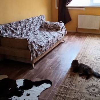 Продается 2-х комнатная квартира, 49,8 м²