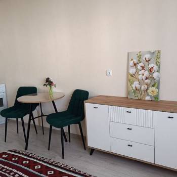 Сдается 1-комнатная квартира, 25,4 м²