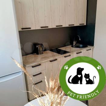 Сдается 1-комнатная квартира, 30 м²