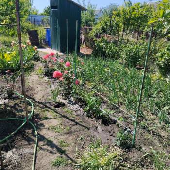 Продается Нежилое помещение, 600 м²