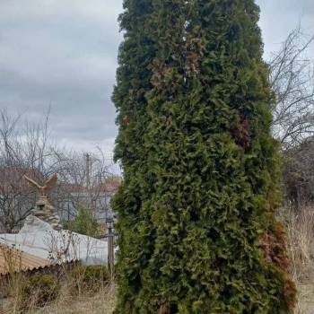 Продается Дом, 55 м²