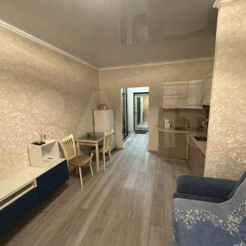Продается 1-комнатная квартира, 26,5 м²
