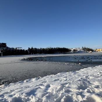 Продается 2-х комнатная квартира, 65 м²