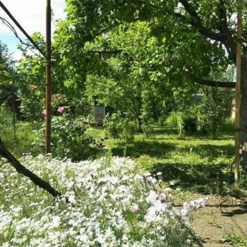 Продается Участок, 440 м²