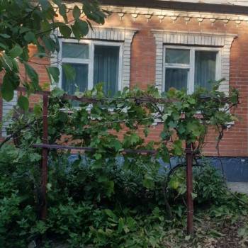 Сдается Комната, 26 м²