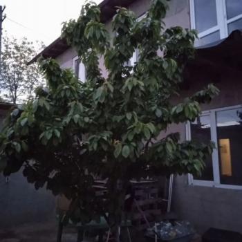 Продается Дом, 200 м²